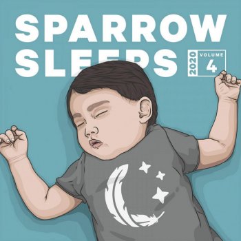 Sparrow Sleeps Wish We Still Talked