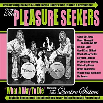 The Pleasure Seekers What a Way to Die