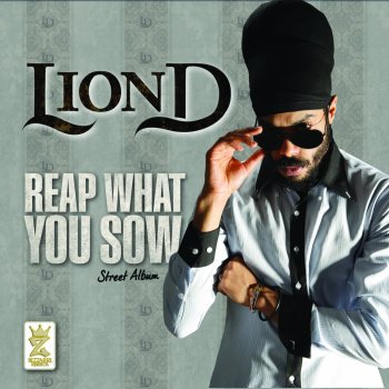 Lion D High