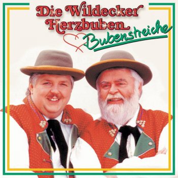 Die Wildecker Herzbuben Frieden