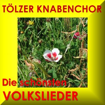 Tölzer Knabenchor Das arme Dorfschulmeisterlein