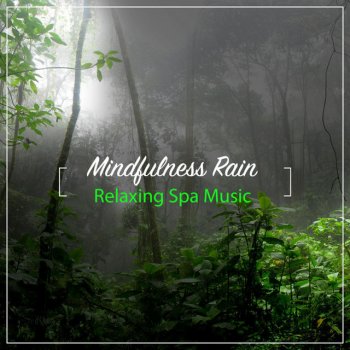 The Sound Reserve Perfect Gentle Rain