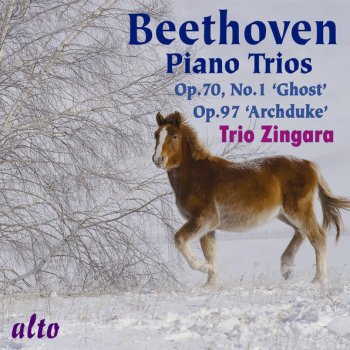 Ludwig van Beethoven Piano Trio No. 6 in E-flat major, Op. 70 No. 2: I. Poco sostenuto - Allegro ma non troppo