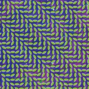 Animal Collective Lion In A Coma