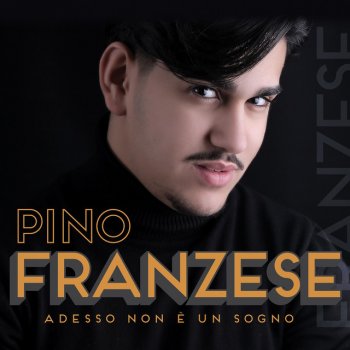 Pino Franzese Si me parlano 'e te