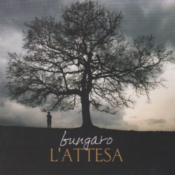 Bungaro Agisce