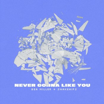 Bea Miller feat. Snakehips NEVER GONNA LIKE YOU (Clean Version)
