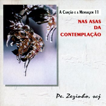 Pe. Zezinho, SCJ Cantiga de Saudade