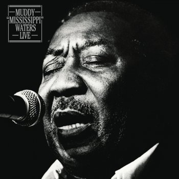 Muddy Waters Got My Mojo Working - Live