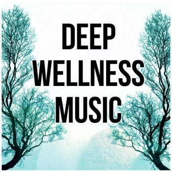 Wellness Spa Music Oasis Therapy for Relaxation