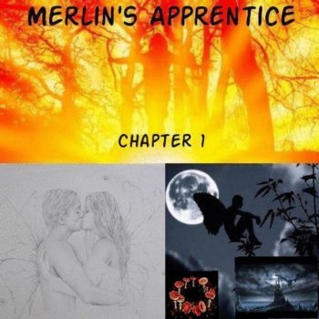 Merlin's Apprentice The Faery Ball