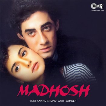 Udit Narayan, Sadhana Sargam Bewafa Sangdil