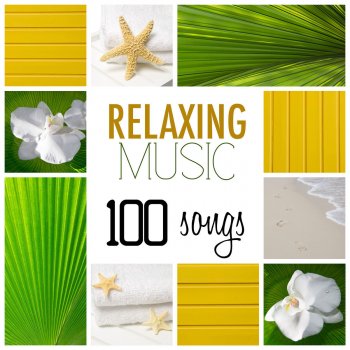 Relaxing Mindfulness Meditation Relaxation Maestro Sahaja (Music for Yoga Classes)