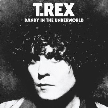 T. Rex Hang-Ups (AIR alternate Rough Mix)