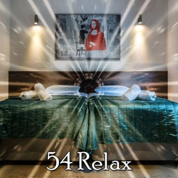 The Sleep Specialist Night To Doze