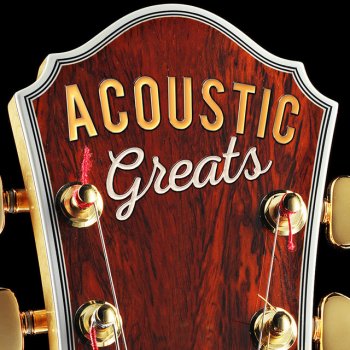 Acoustic Hits Wild Wood