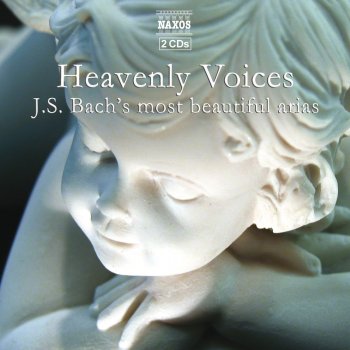 Johann Sebastian Bach, Friederike Wagner, Capella Istropolitana & Christian Brembeck Non sa che sia dolore, BWV 209: Aria: Parti pur e con dolore