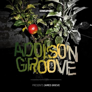 Addison Groove Malus