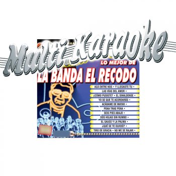 Multi Karaoke El Sauce Y La Palma