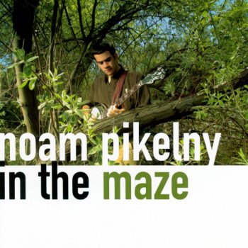 Noam Pikelny In the Maze