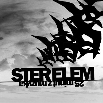 Ster feat. Aiwka & Piter Plany