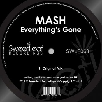 Mash Everything's Gone - Original Mix