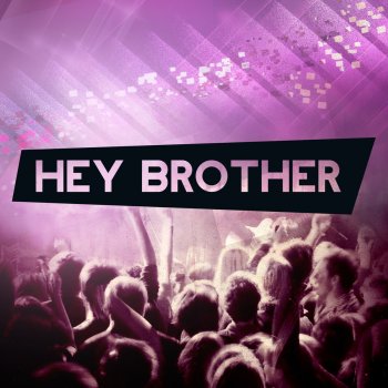 DJ Robin Stein Hey Brother