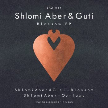 Shlomi Aber Outlaws