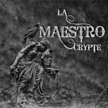 Maestro Fracture cérébrale