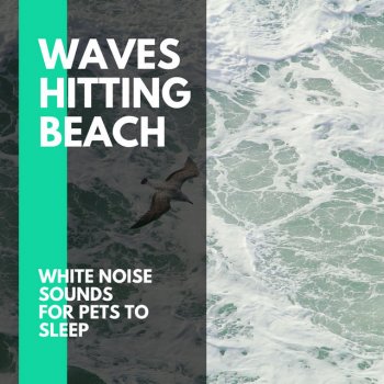 Ocean Skyline Nature Music Boiling as Ocean