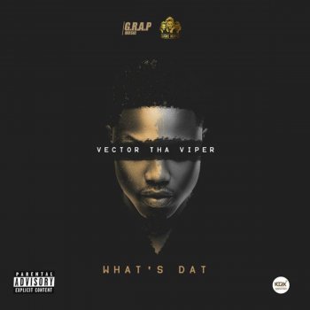 Vector What's Dat