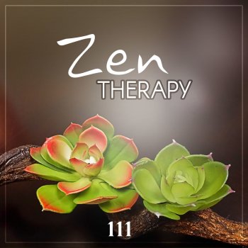 Relaxing Zen Music Ensemble Infinity