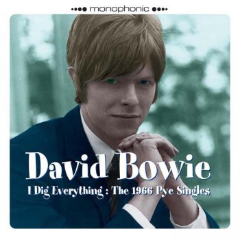 David Bowie I Dig Everything