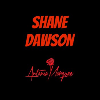 Antonia Marquee Shane Dawson