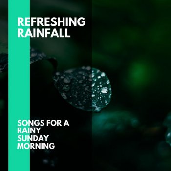 Earth Beauty Rain Music Abundant Rain and Thunder