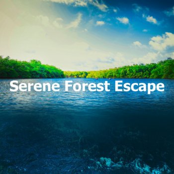 Epic Soundscapes Cave Woodland