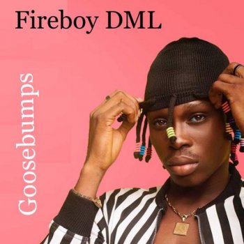 Fireboy DML ELI