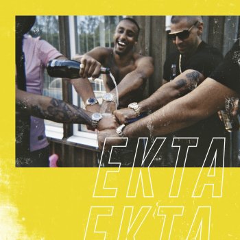 Denz Ekta