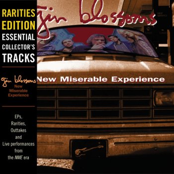 Gin Blossoms Blues Eyes Bleeding - Album Outtake