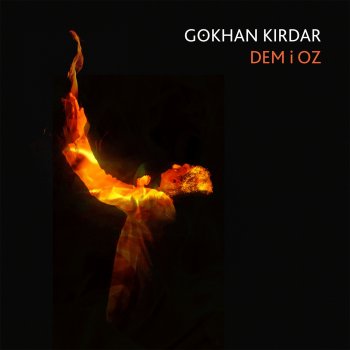 Gökhan Kırdar Erir