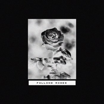 Aidan Falling Roses