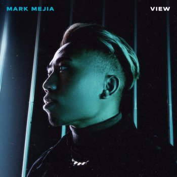 Mark Mejia View