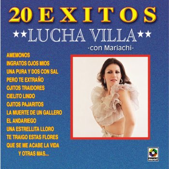 Lucha Villa El Andariego