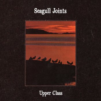 upper class seagull lude