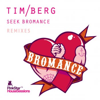 Tim Berg Seek Bromance - Cazette meets Ash Vocal Mix