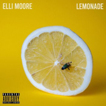 Elli Moore Lemonade