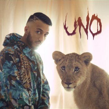Seyed Uno