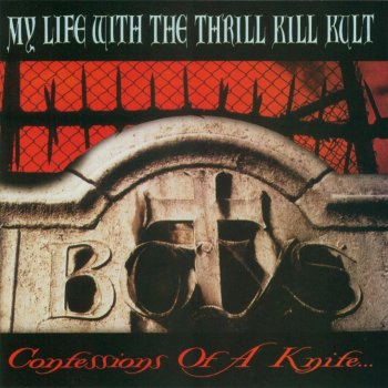 My Life With the Thrill Kill Kult The Days of Swine and Roses