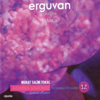 Murat Salim Tokaç Hicaz Sazsemaisi (S. Unal Ensari)