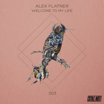 Alex Flatner feat. Markus Homm & Mihai Popoviciu Welcome To My Life - Markus Homm & Mihai Popoviciu Remix